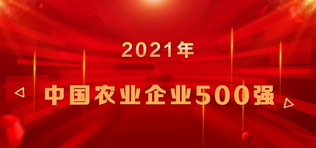 上榜|山東三星集團再登中國農(nóng)業(yè)企業(yè)500強榜單